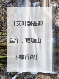 艾叶飘香迎端午，珞珈山下粽香浓