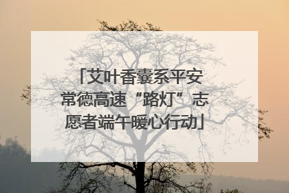 艾叶香囊系平安 常德高速“路灯”志愿者端午暖心行动