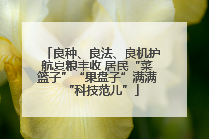 良种、良法、良机护航夏粮丰收 居民“菜篮子”“果盘子”满满“科技范儿”