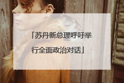 苏丹新总理呼吁举行全面政治对话
