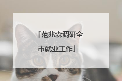 范兆森调研全市就业工作