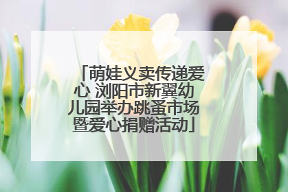 萌娃义卖传递爱心 浏阳市新翼幼儿园举办跳蚤市场暨爱心捐赠活动