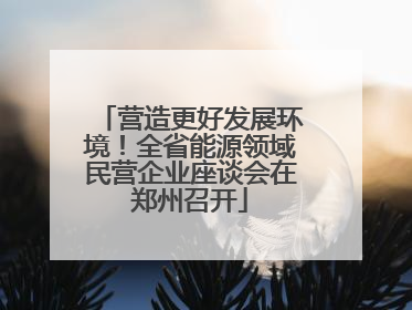 营造更好发展环境！全省能源领域民营企业座谈会在郑州召开