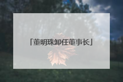 董明珠卸任董事长