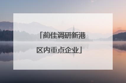 蔺佳调研新港区内重点企业
