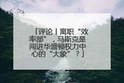 评论丨离职“效率部”，马斯克是闯进华盛顿权力中心的“大象”？