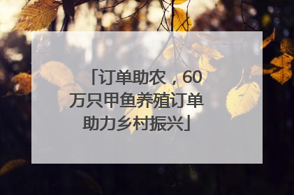 订单助农，60万只甲鱼养殖订单助力乡村振兴