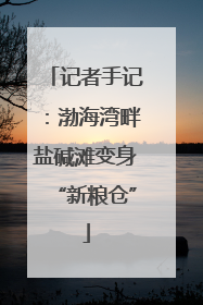 记者手记：渤海湾畔盐碱滩变身“新粮仓”
