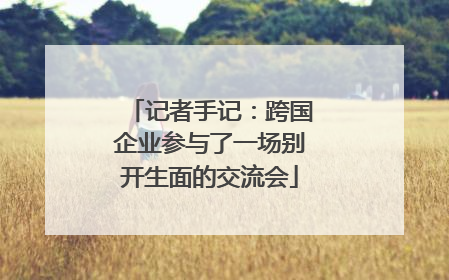 记者手记：跨国企业参与了一场别开生面的交流会