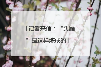 记者来信：“头雁”是这样炼成的