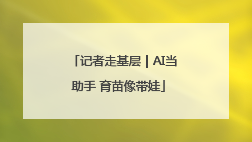 记者走基层｜AI当助手 育苗像带娃