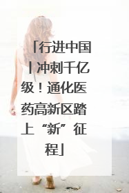 行进中国丨冲刺千亿级！通化医药高新区踏上“新”征程