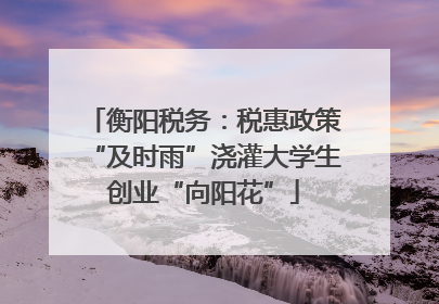 衡阳税务：税惠政策“及时雨”浇灌大学生创业“向阳花”