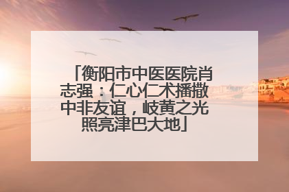 衡阳市中医医院肖志强：仁心仁术播撒中非友谊，岐黄之光照亮津巴大地