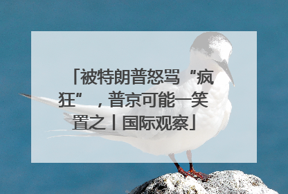 被特朗普怒骂“疯狂”，普京可能一笑置之丨国际观察