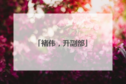 褚伟，升副部