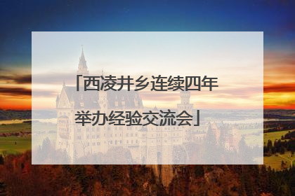 西凌井乡连续四年举办经验交流会