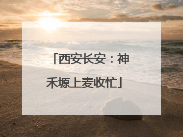 西安长安：神禾塬上麦收忙