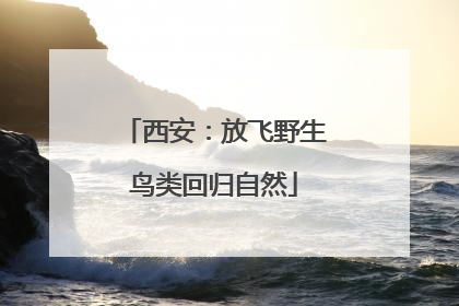 西安：放飞野生鸟类回归自然