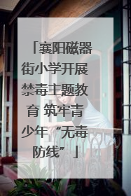 襄阳磁器街小学开展禁毒主题教育 筑牢青少年“无毒防线”