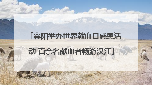 襄阳举办世界献血日感恩活动 百余名献血者畅游汉江