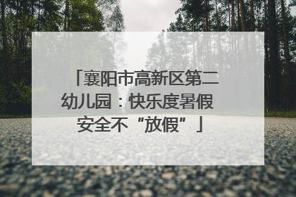襄阳市高新区第二幼儿园：快乐度暑假 安全不“放假”