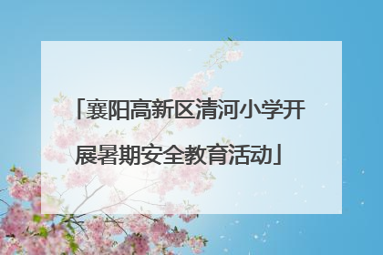 襄阳高新区清河小学开展暑期安全教育活动
