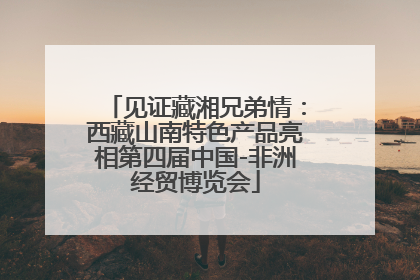见证藏湘兄弟情：西藏山南特色产品亮相第四届中国-非洲经贸博览会