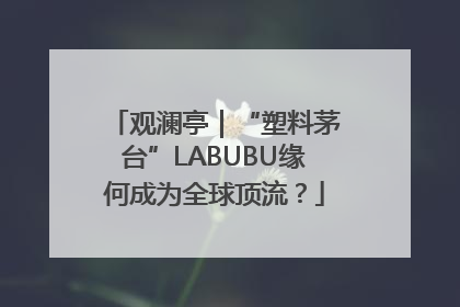 观澜亭｜“塑料茅台”LABUBU缘何成为全球顶流？
