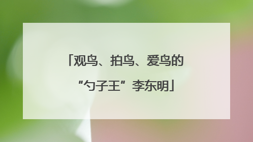 观鸟、拍鸟、爱鸟的“勺子王”李东明