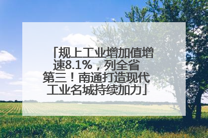 规上工业增加值增速8.1%，列全省第三！南通打造现代工业名城持续加力