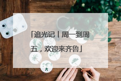 追光记丨周一到周五，欢迎来齐鲁