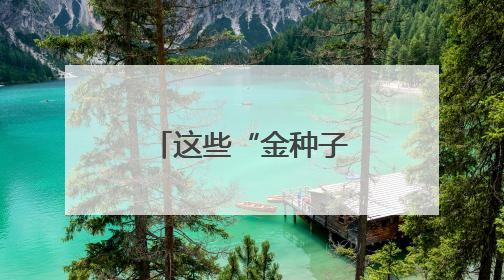 这些“金种子”，带你解锁未来产业！