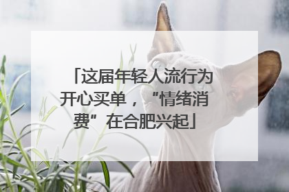 这届年轻人流行为开心买单，“情绪消费”在合肥兴起