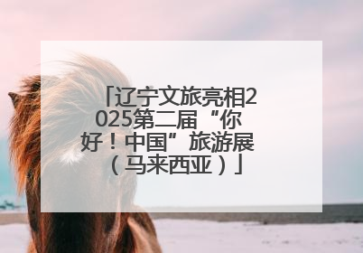 辽宁文旅亮相2025第二届“你好！中国”旅游展（马来西亚）