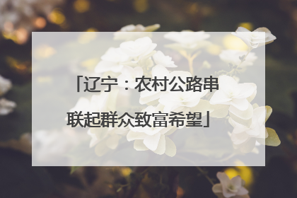 辽宁：农村公路串联起群众致富希望
