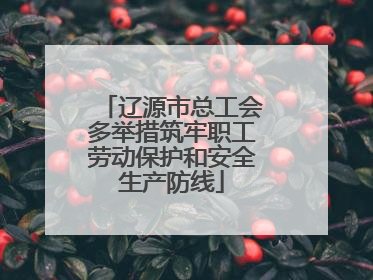 辽源市总工会多举措筑牢职工劳动保护和安全生产防线