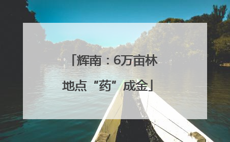 辉南：6万亩林地点“药”成金