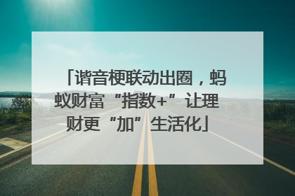 谐音梗联动出圈，蚂蚁财富“指数+”让理财更“加”生活化