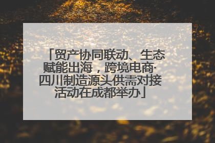 贸产协同联动、生态赋能出海，跨境电商·四川制造源头供需对接活动在成都举办