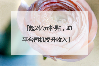 超2亿元补贴，助平台司机提升收入