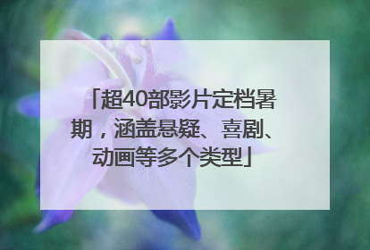 超40部影片定档暑期，涵盖悬疑、喜剧、动画等多个类型