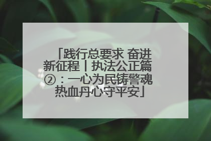 践行总要求 奋进新征程丨执法公正篇②：一心为民铸警魂 热血丹心守平安