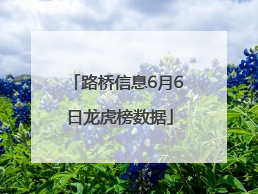 路桥信息6月6日龙虎榜数据