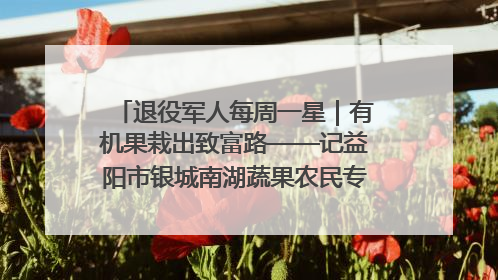 退役军人每周一星｜有机果栽出致富路——记益阳市银城南湖蔬果农民专业合作社总经理晏桂明