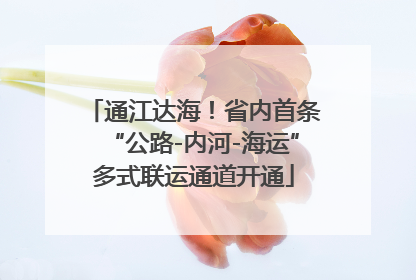 通江达海！省内首条“公路-内河-海运”多式联运通道开通