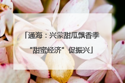 通海：兴蒙甜瓜飘香季 “甜蜜经济”促振兴