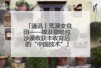 通讯丨荒漠变良田——埃及撒哈拉沙漠收获丰收背后的“中国技术”