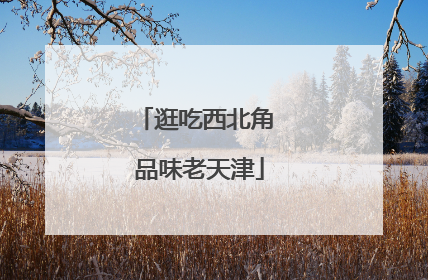 逛吃西北角 品味老天津