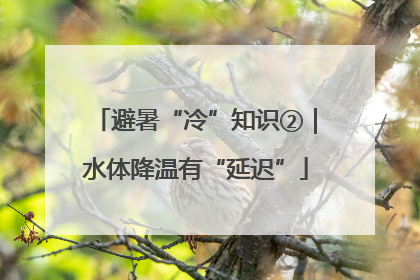 避暑“冷”知识②｜水体降温有“延迟”